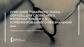 Что нужно указывать в заявлении: полный перечень обязательных элементов в Ангстрем