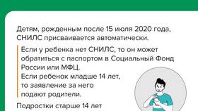 Для чего нужен СНИЛС взрослому человеку в Ангстрем