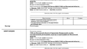Как оплатить регистрацию декларации в Ангстрем