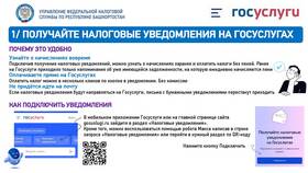 Как подать запрос на портале Госуслуги в Ангстрем