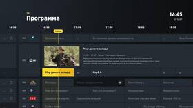 Как посмотреть подключенные услуги на Билайн в Ангстрем
