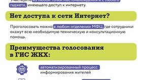 Как проголосовать через Госуслуги: пошаговая инструкция в Ангстрем