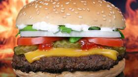 Сколько платят в Burger King: зарплаты и условия работы в Ангстрем